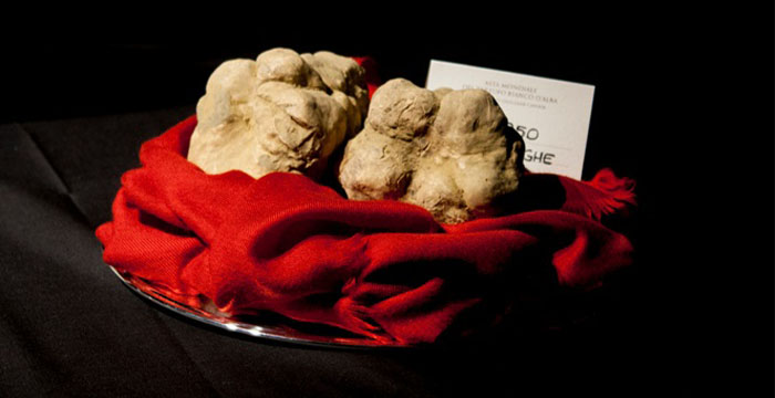 Most Expensive Food in the world - Italian White Alba Truffle