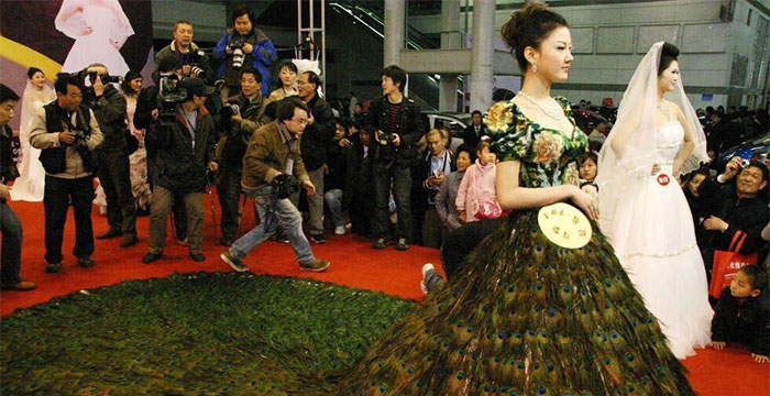 Vera Wang Peacock Wedding Gown